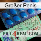 Großer Penis new02